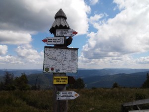 3_07_2015_zmień rozmiar