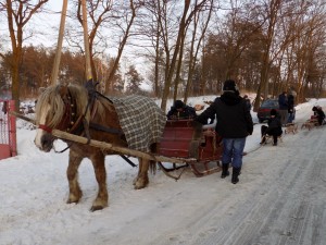 DSCN0127_zmień rozmiar