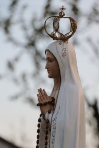 IMG_2428_zmień rozmiar